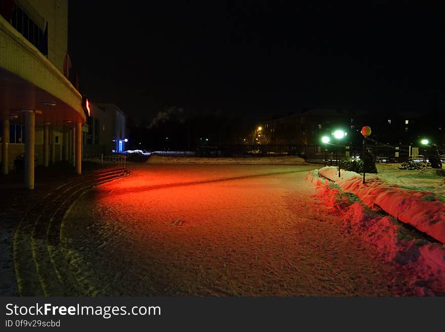 Plant, Street light, Road surface, Building, Automotive lighting, Sky