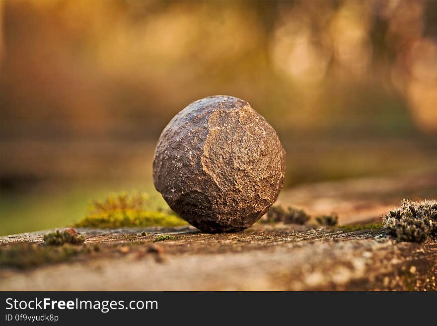 Tilt Shift Lens Photography of Stone