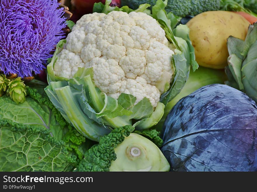 Close up of colorful produce including purple cabbage, cauliflower, potato, broccoli and leafy greens.