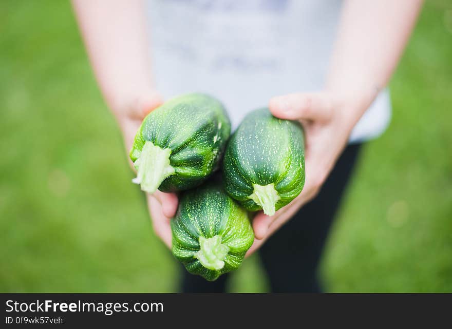 Close Up of Woman Holding Vegetables