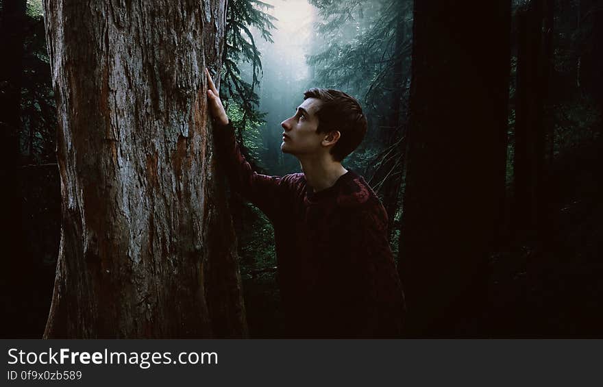 Man Looking Up