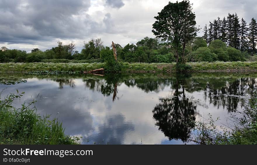 Blue sky and trees reflected on mill pond