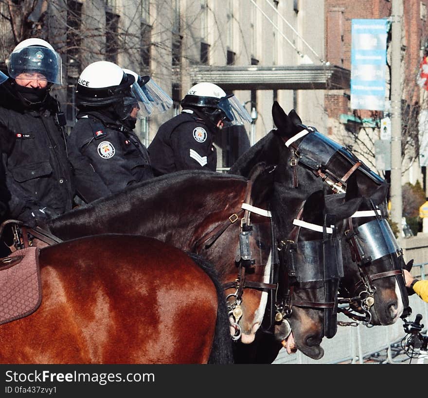 Toronto mounted police champing at the bit.