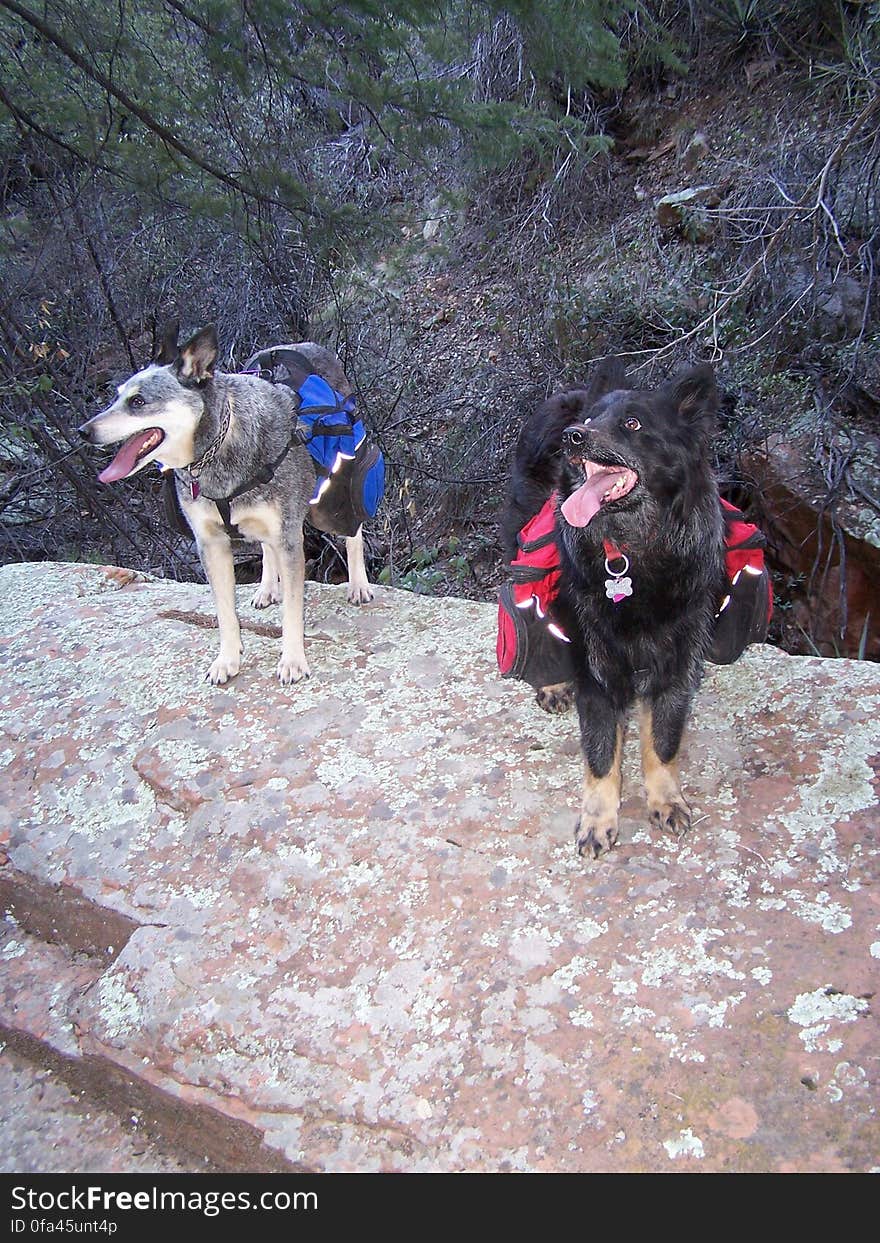 Tasha and Kita. Tasha and Kita