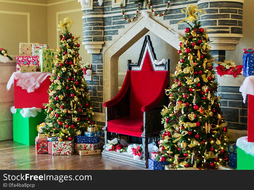 Christmas tree, Christmas ornament, Property, Green, White, Decoration