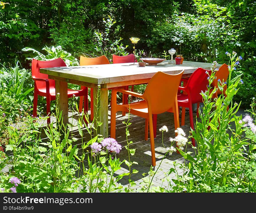 Plant, Property, Plant community, Flower, Table, Outdoor table