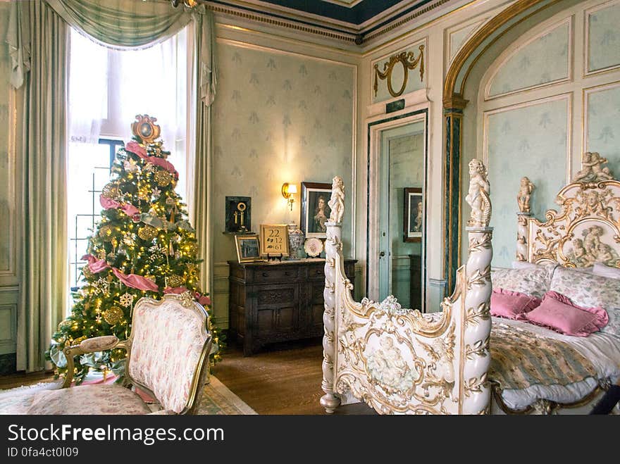 Christmas tree, Picture frame, Property, Building, Plant, Window