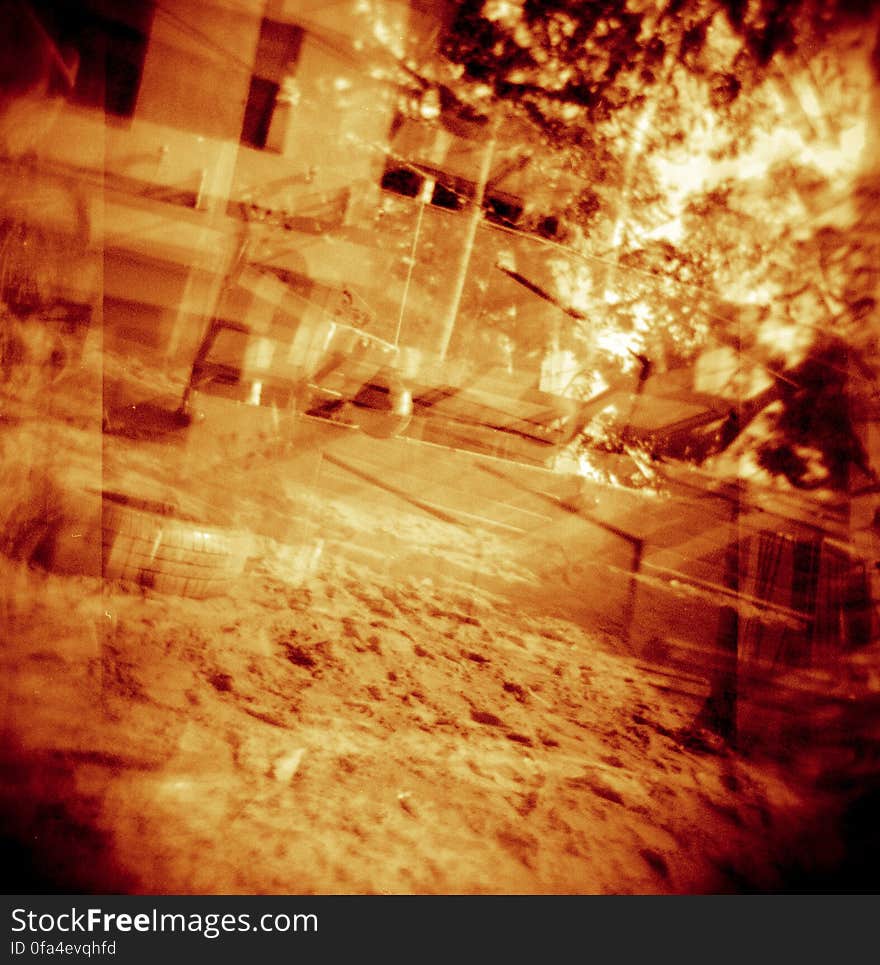 fotos tiradas com a holga, filme redscale. primeiras tentativas. Foto by Cora Ximenes Deak. fotos tiradas com a holga, filme redscale. primeiras tentativas. Foto by Cora Ximenes Deak