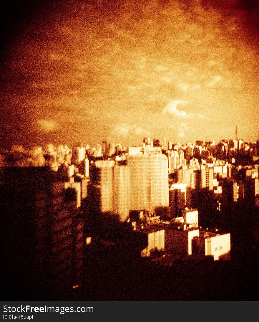 fotos tiradas com a holga, filme redscale. primeiras tentativas. fotos tiradas com a holga, filme redscale. primeiras tentativas.