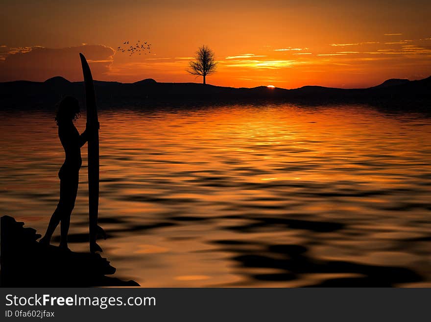 Person Holding a Surfboard Near the Sea on a Setting Sun