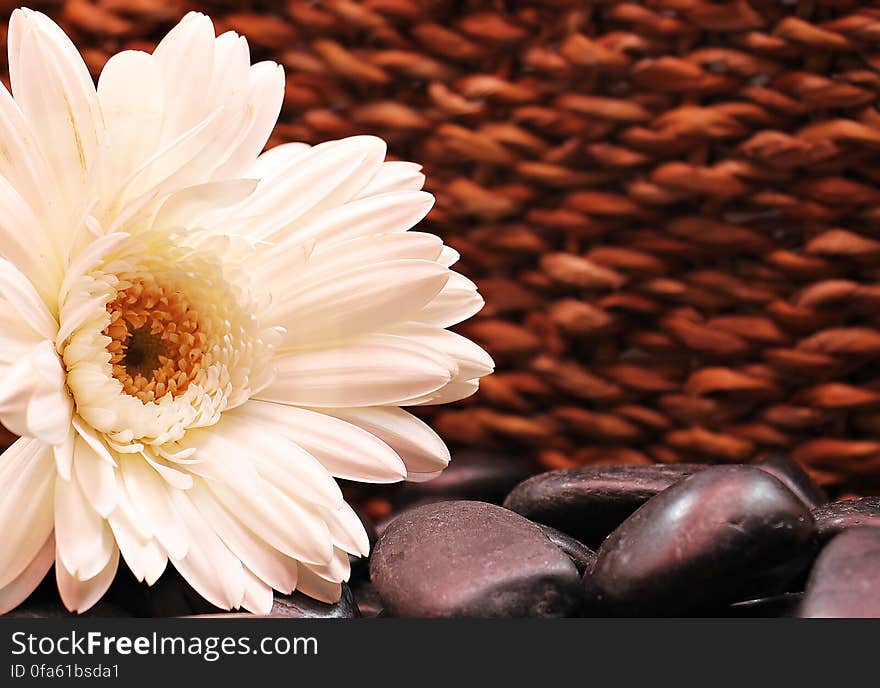 Close up of white flower blossom with smooth stones against wicker basket. Close up of white flower blossom with smooth stones against wicker basket.