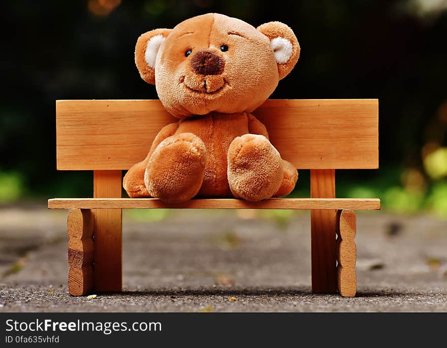 Cute smiling teddy bear sat on wooden bench,. Cute smiling teddy bear sat on wooden bench,