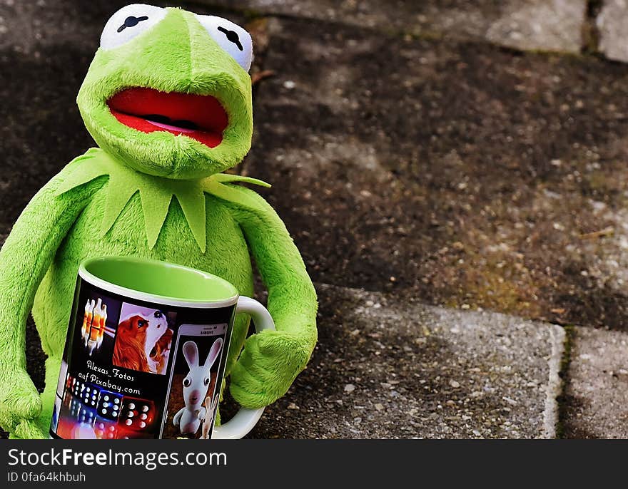 Hermit the Frog Holding Black and White Ceramic Mug