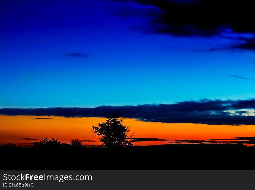 Silhouette of tree against blue and orange skies at sunset. Silhouette of tree against blue and orange skies at sunset.