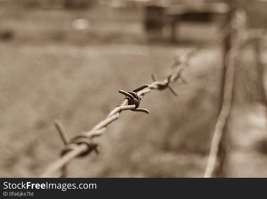 Close-up of Wire Against Blurred Background