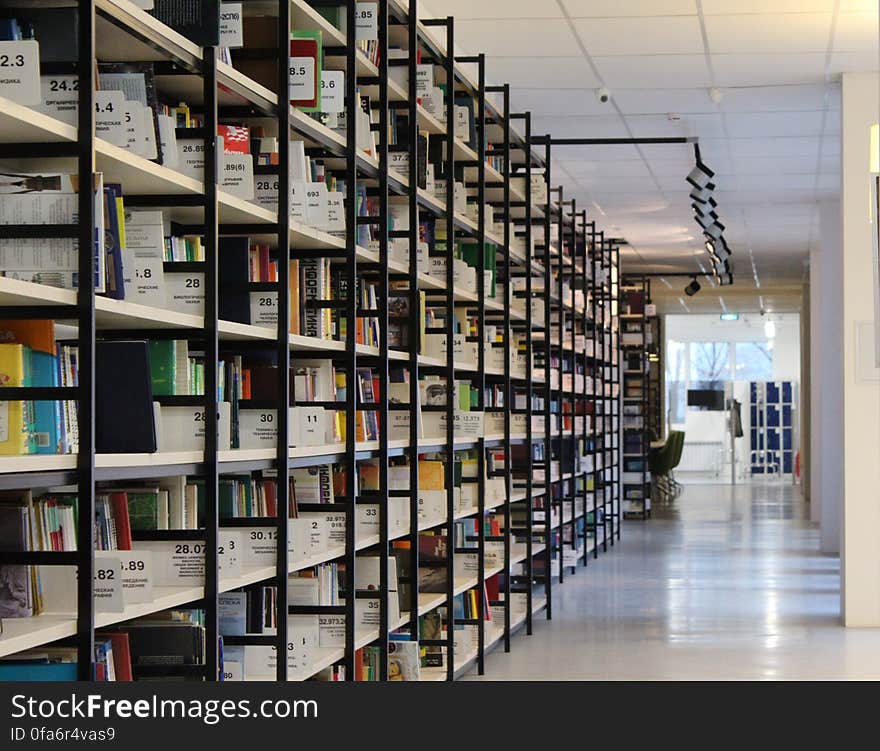 Stack of Books in Shelf