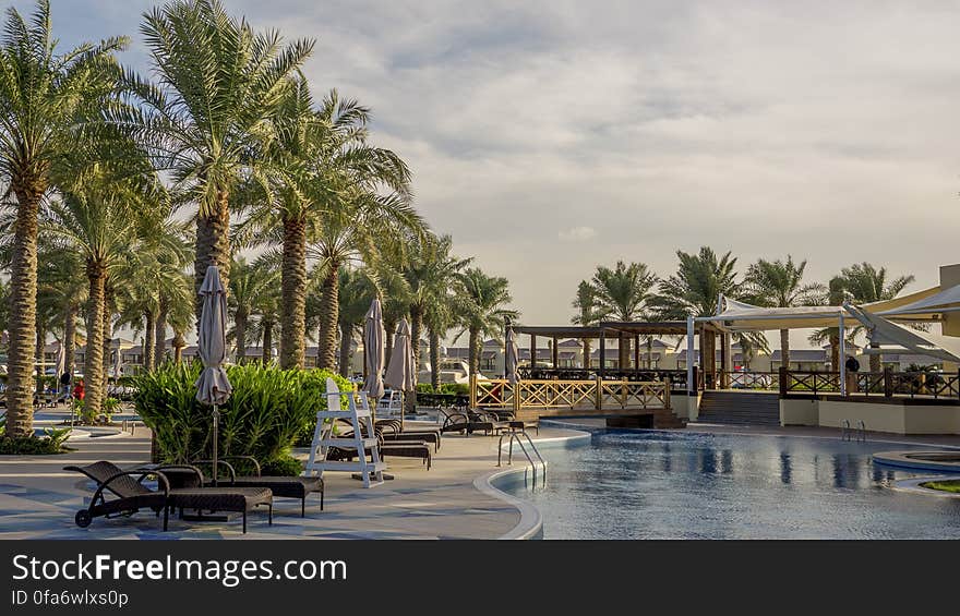 An outdoor swimming pool in a holiday resort surrounded by palm trees. An outdoor swimming pool in a holiday resort surrounded by palm trees.