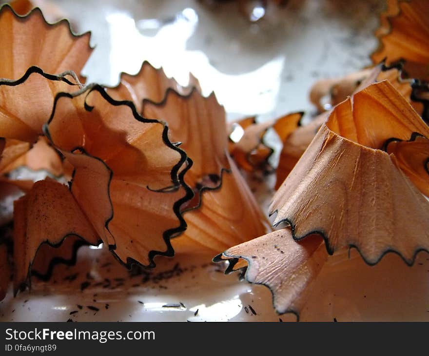 Macro view of pile of wooden pencil sharpener shavings.