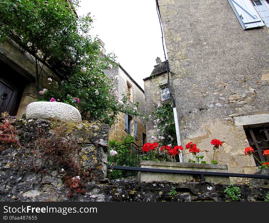 Plant, Building, Window, Flower, Vegetation, Biome