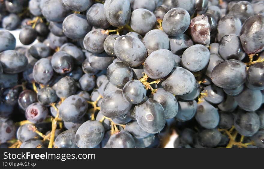 Red grapes contain flavanoids, mostly in the skins.