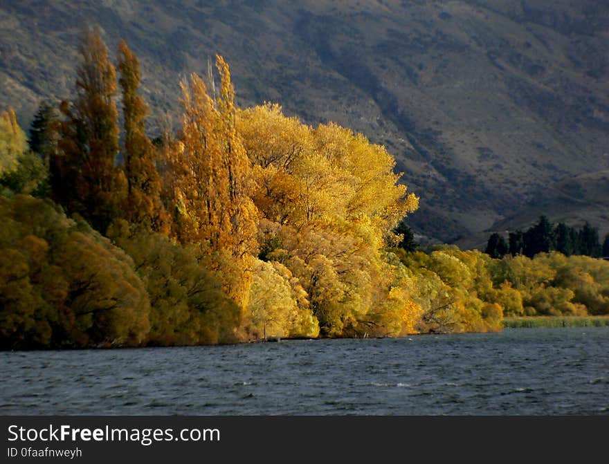 Lake Hayes Otago NZ &#x28;2&#x29;