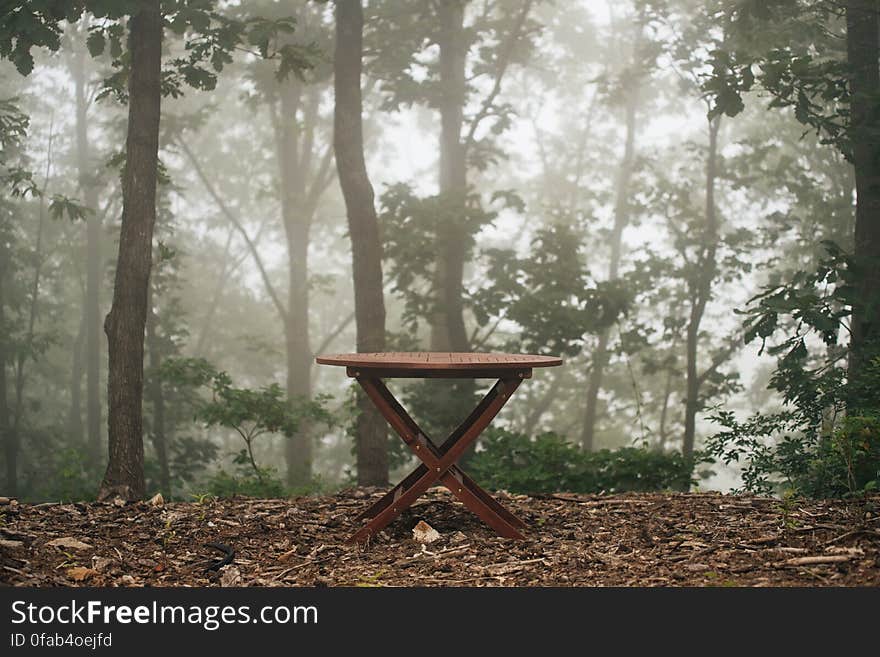 Wooden picnic table on leaves in foggy woods. Wooden picnic table on leaves in foggy woods.