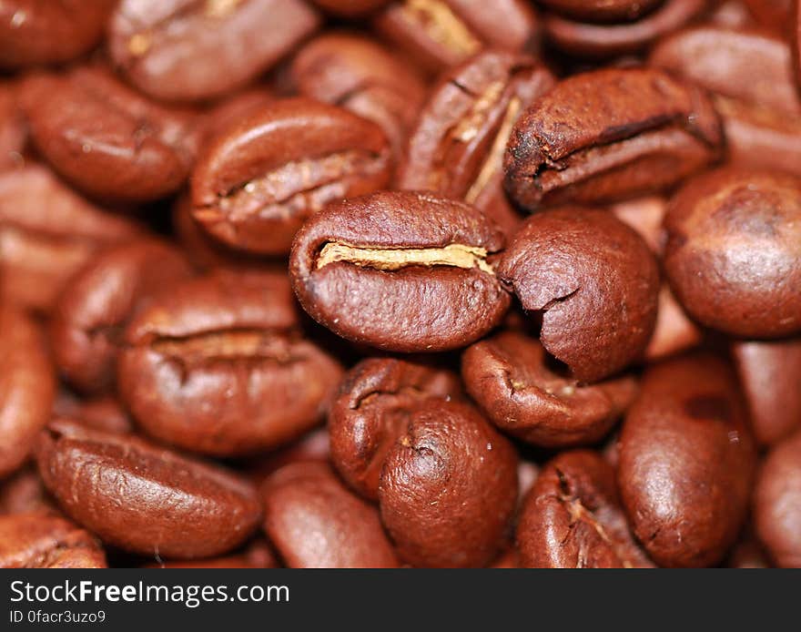 Coffee Beans