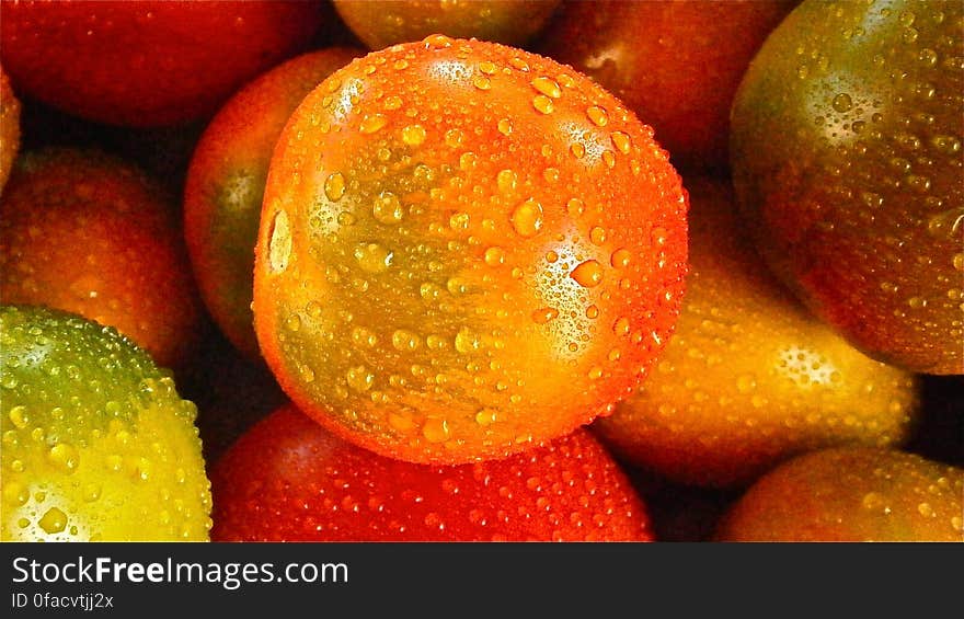 Orange Round Fruit