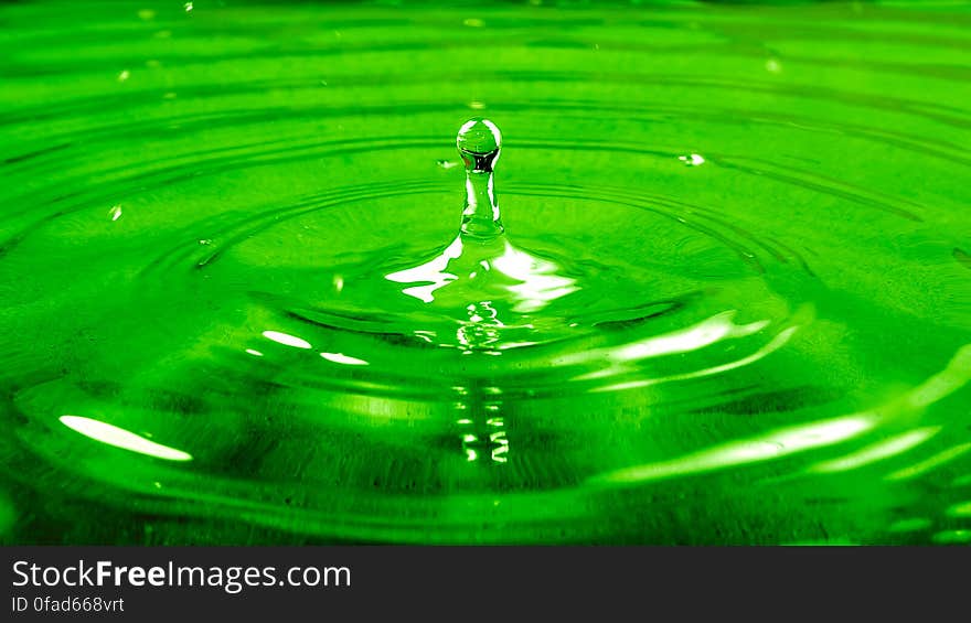 Perspective Photography of Water Droplet