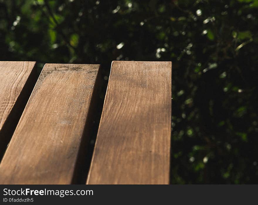 Wooden slats of a park bench with green leaves in background.