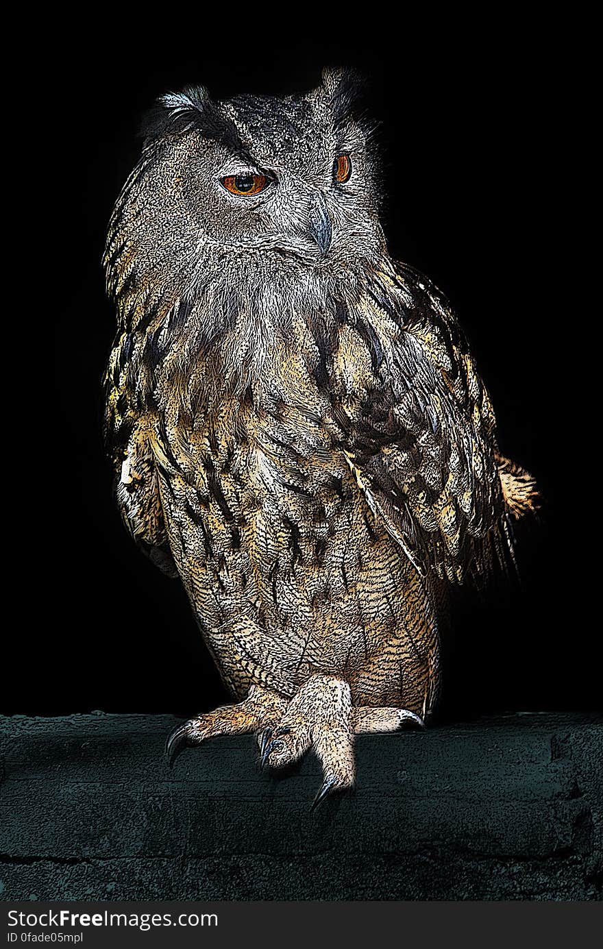 Brown and Silver Owl Standing on Green Textile