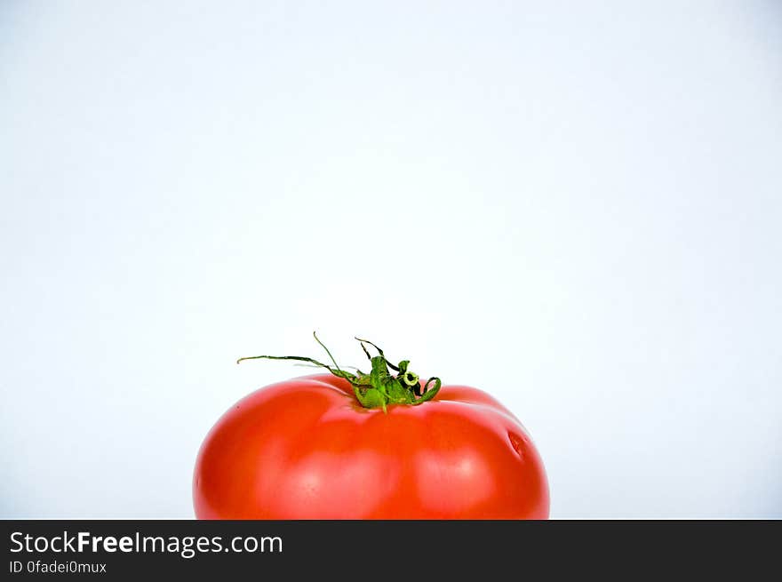 Top of fresh ripe whole red tomato with stem and white space. Top of fresh ripe whole red tomato with stem and white space.