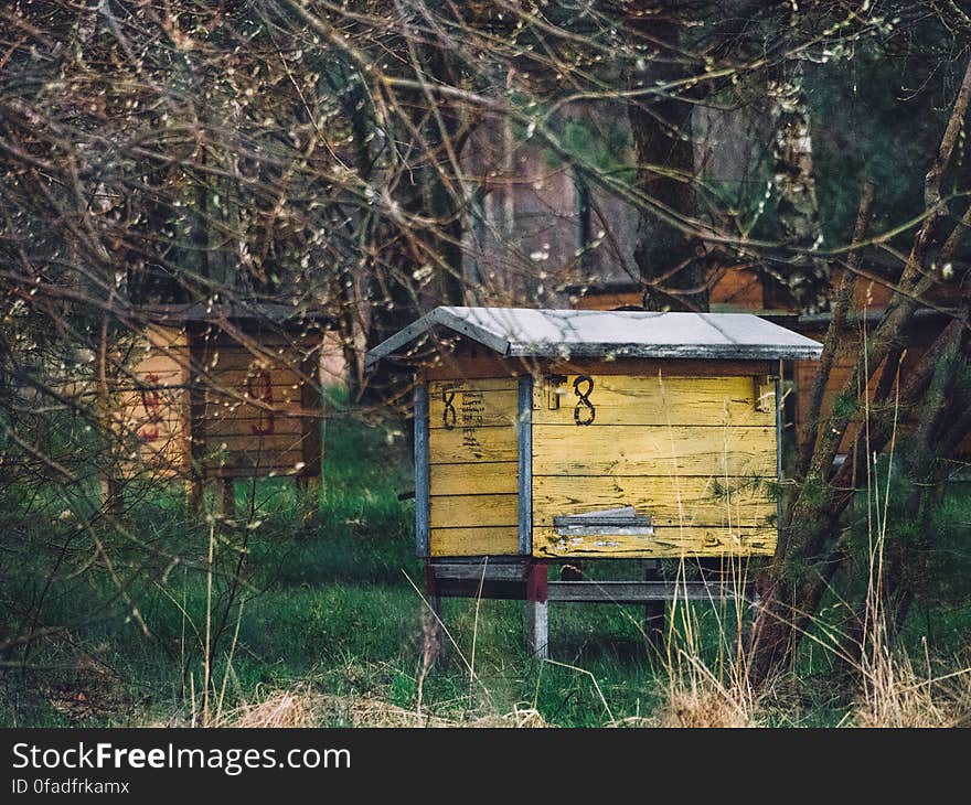 Wooden bee hives in rural field on sunny day.