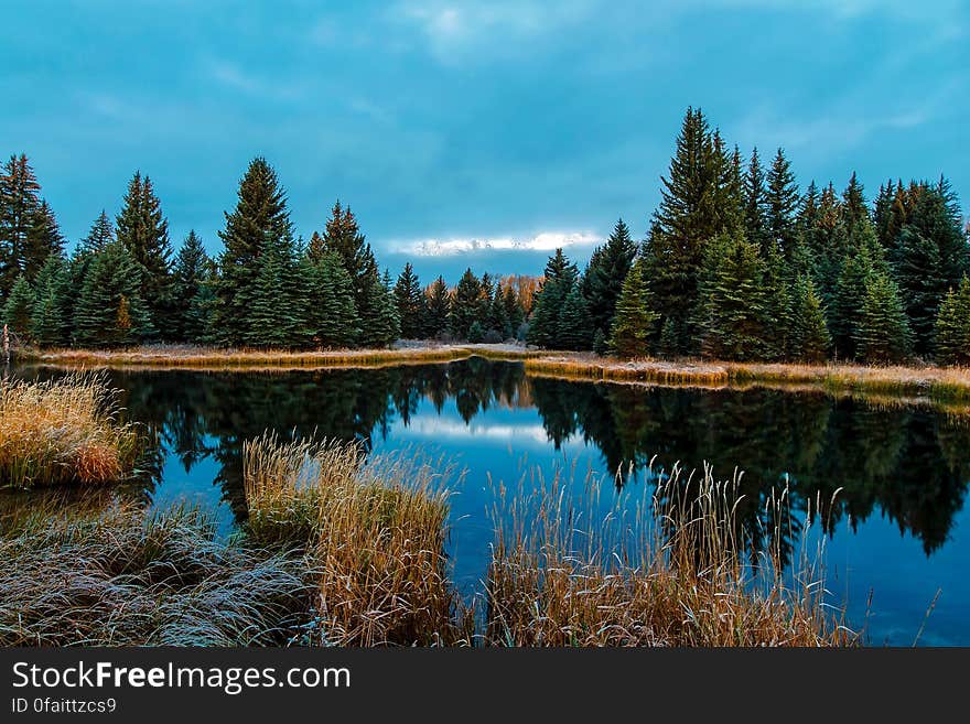 Panoramic View of Lake in Forest