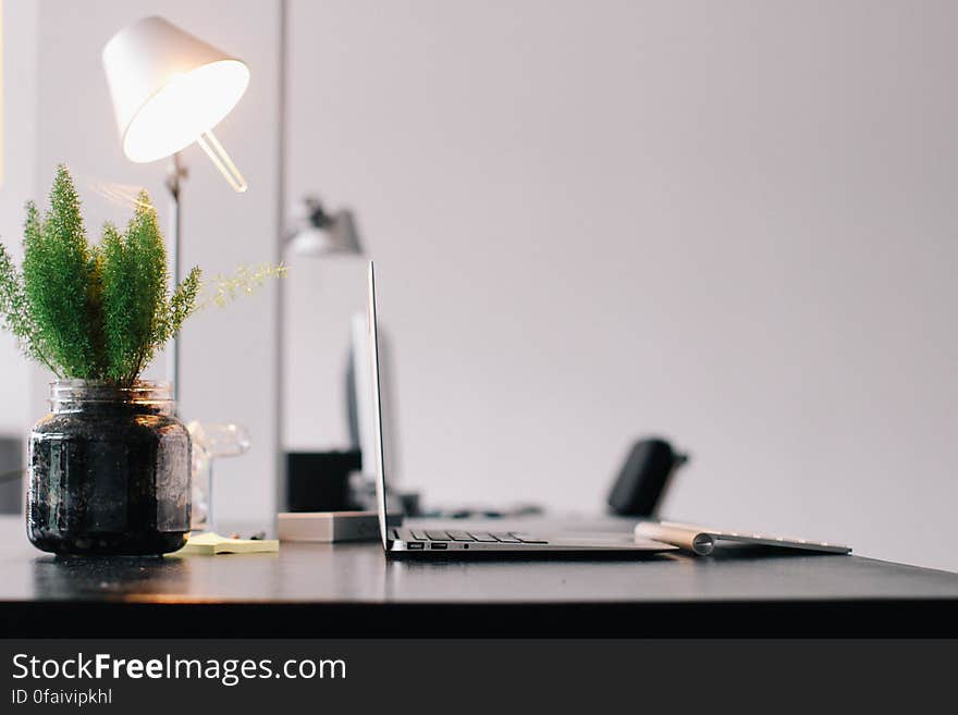 An office desk with an open laptop, decorative plant and a table lamp. An office desk with an open laptop, decorative plant and a table lamp.