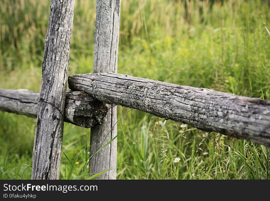 Wooden fence