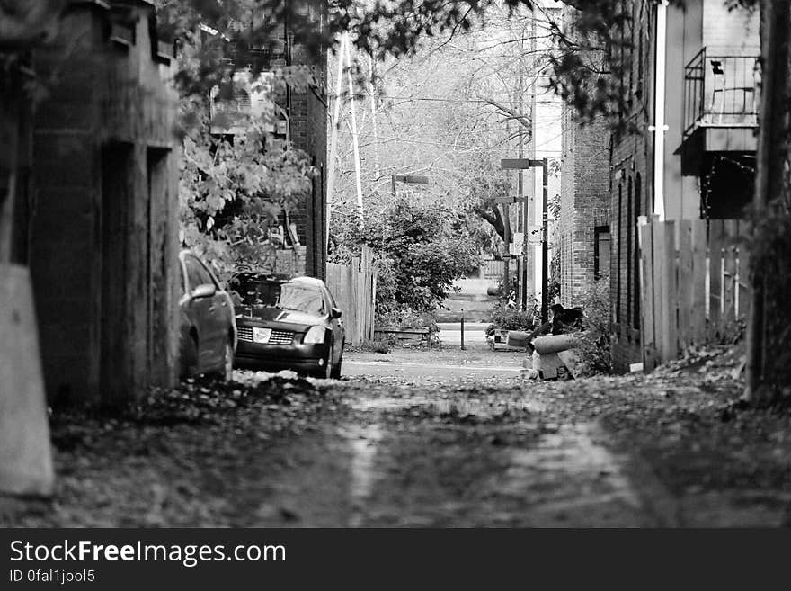 Alley