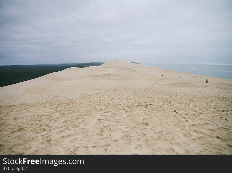 Pila Dune