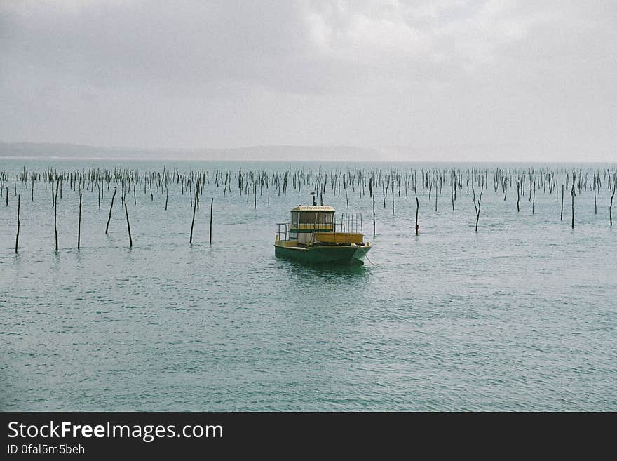 Cap Ferret