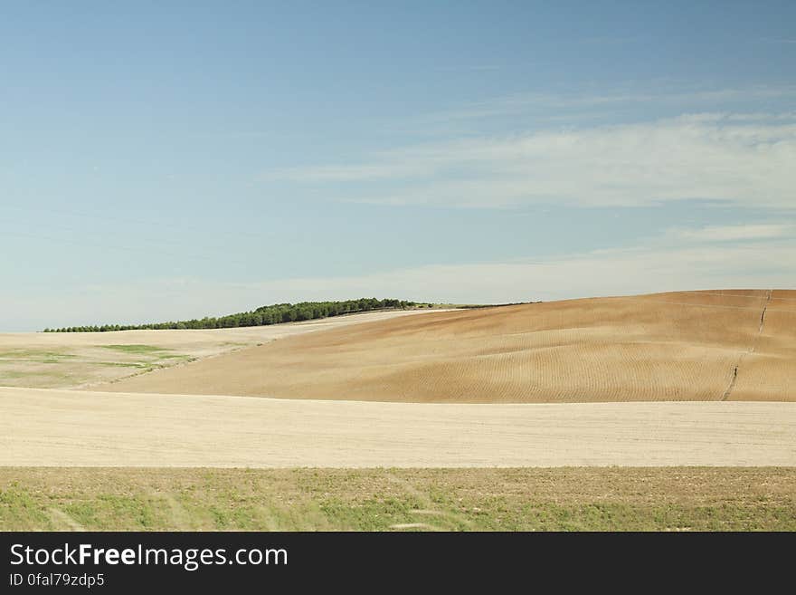 Fields