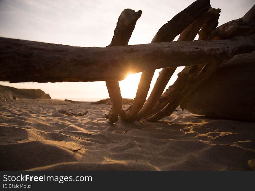 Driftwood