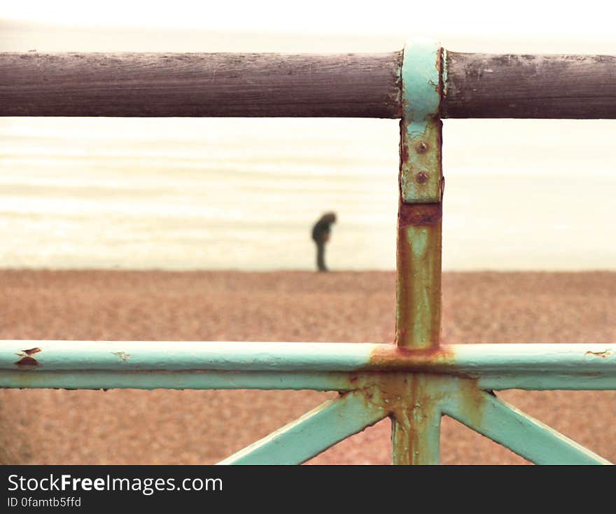 Fence Portrait