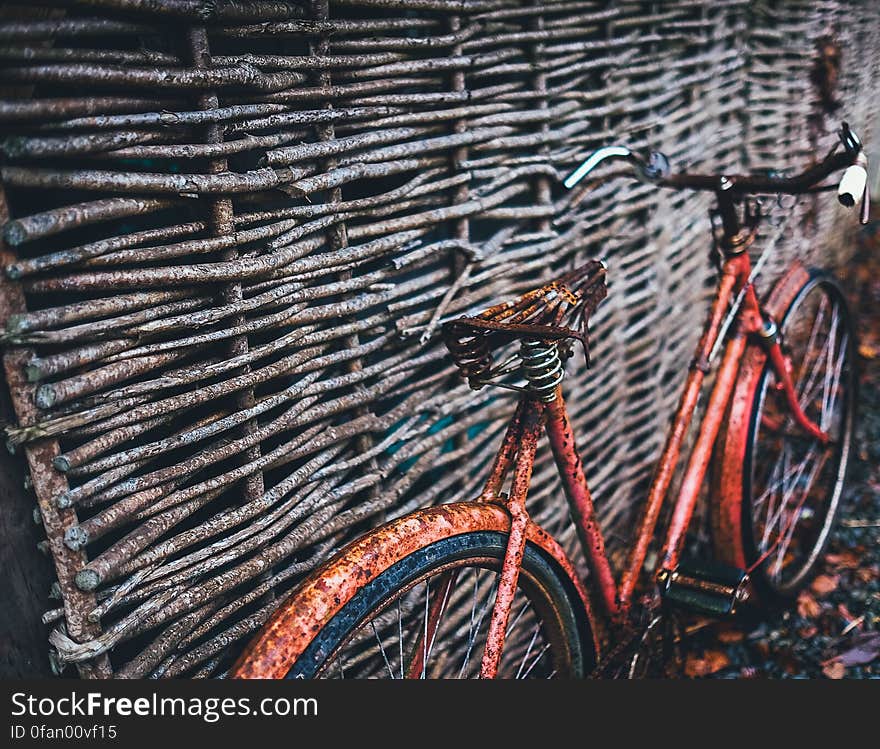 Abandoned Bicycle