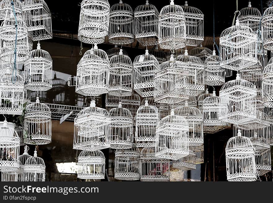 Bird Cages