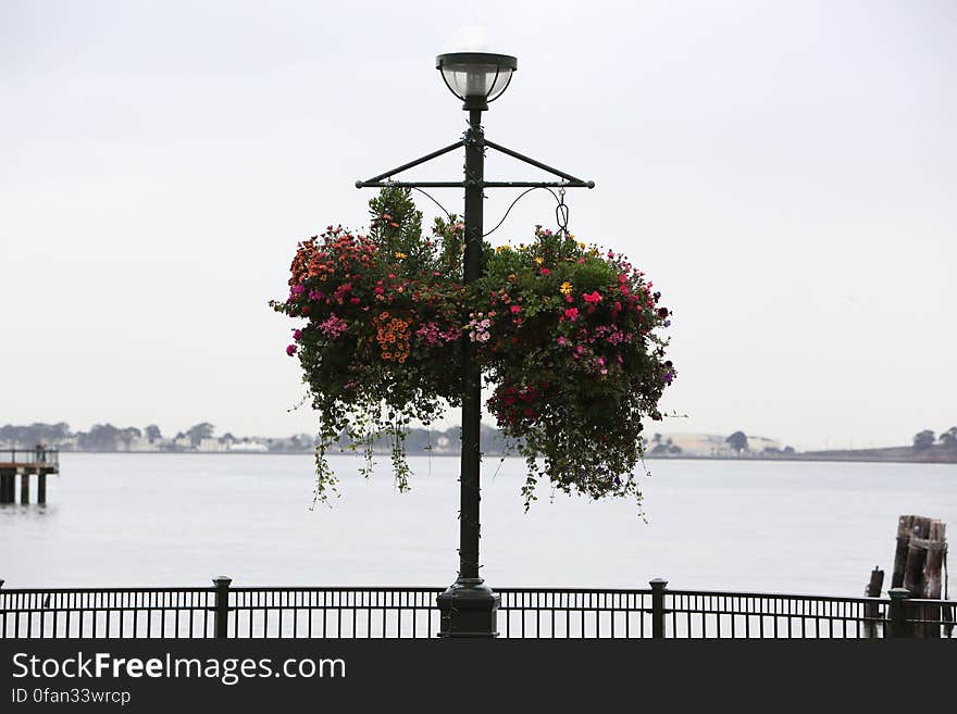 Flowery Street Lamp