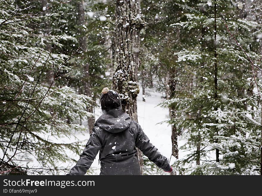 Walking in Winter Forest