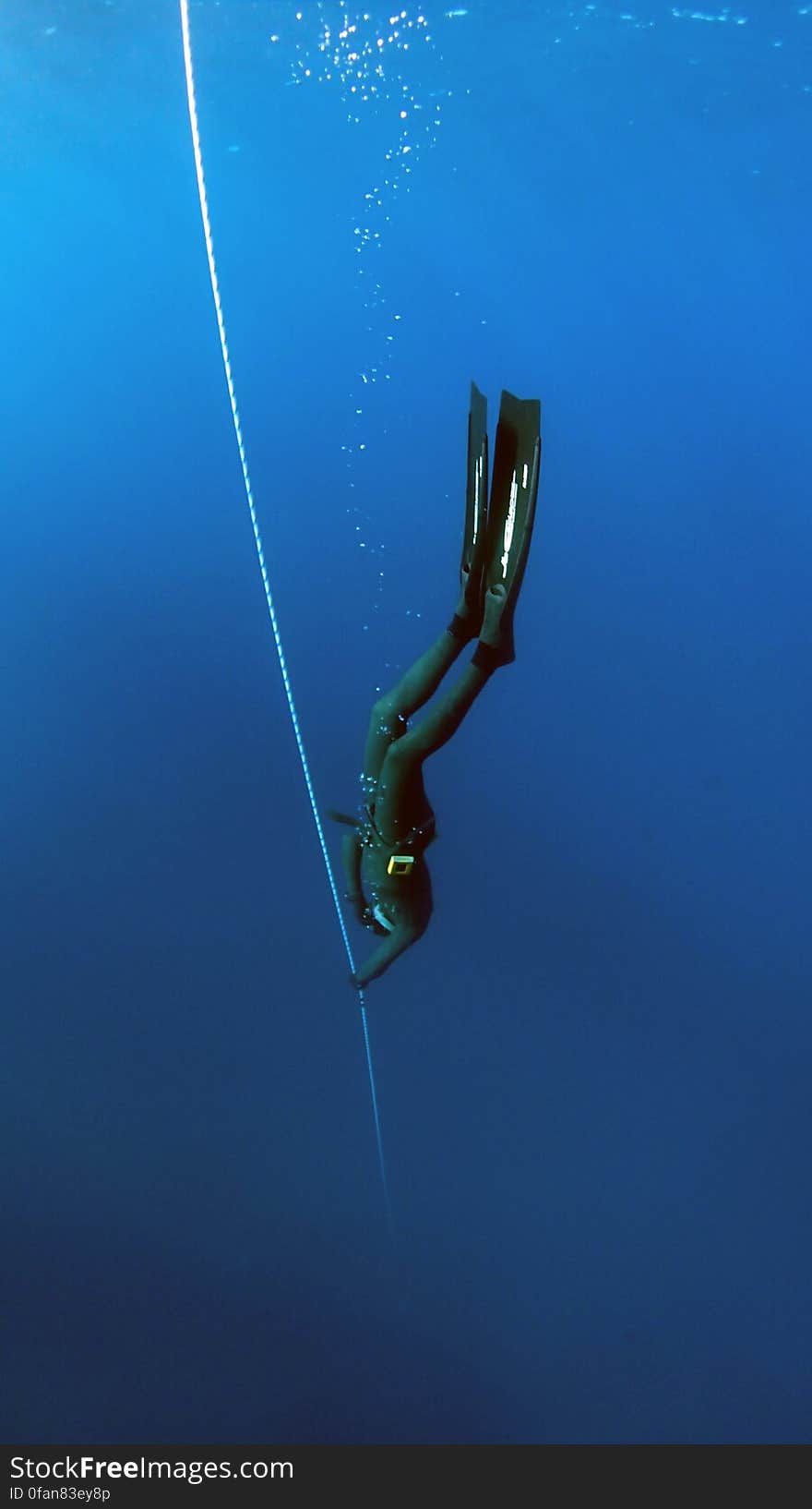 Free Diver