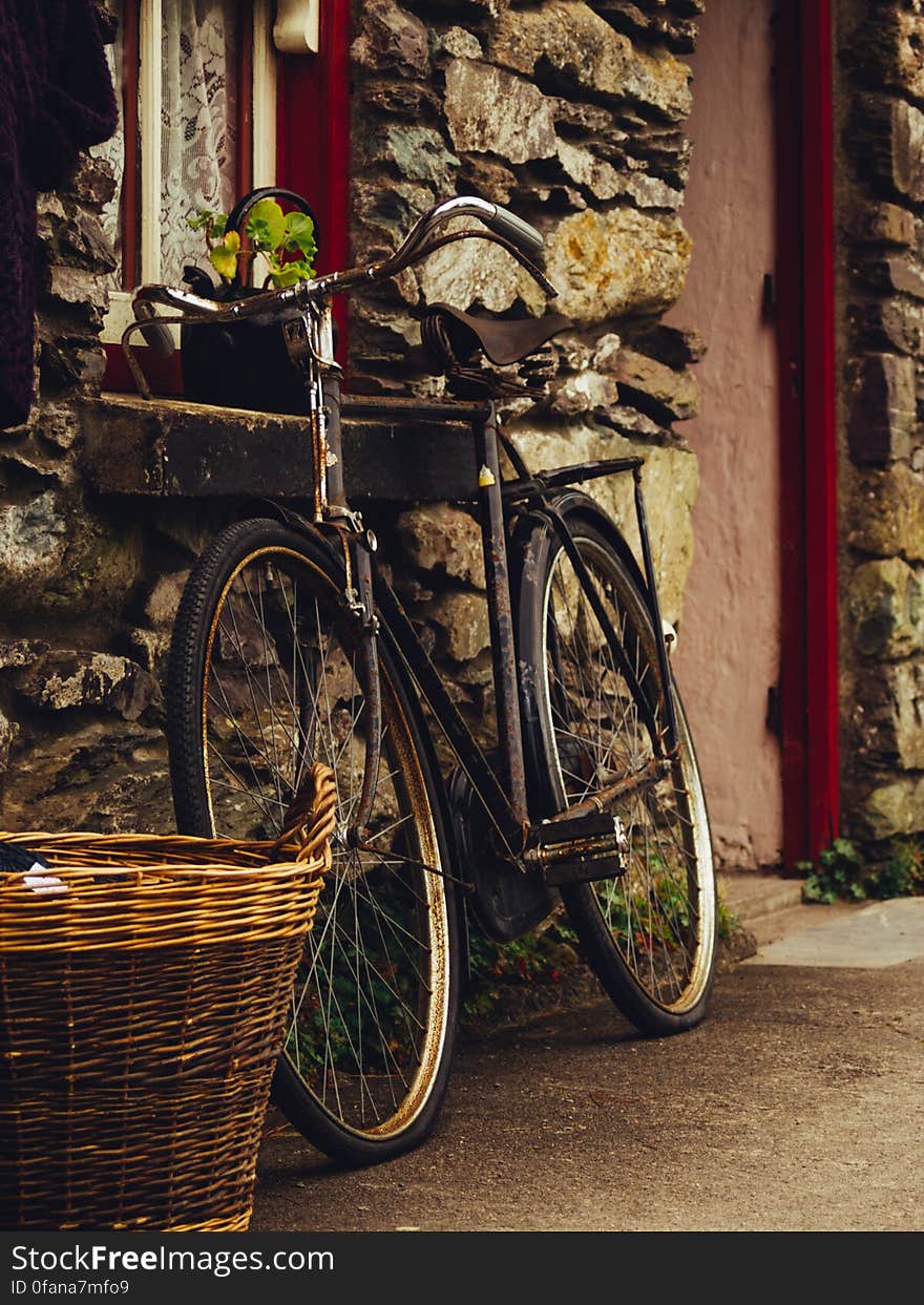 Vintage Bike