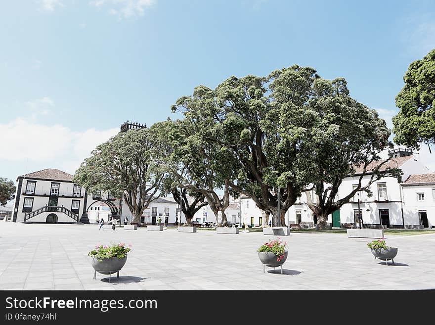 Town Square