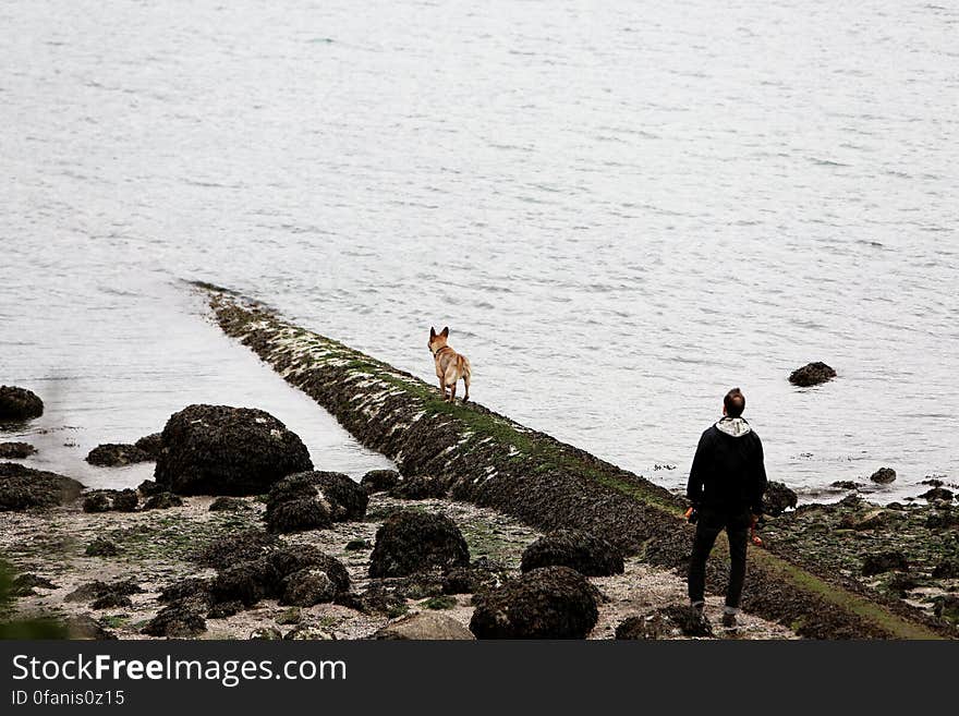 Man & Dog At The Beach